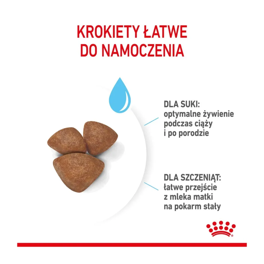 Royal Canin Mini Starter Mother & Babydog 1 kg tasakaalustatud kuivtoit väikest kasvu emastele ja kutsikatele, kanaliha – 6