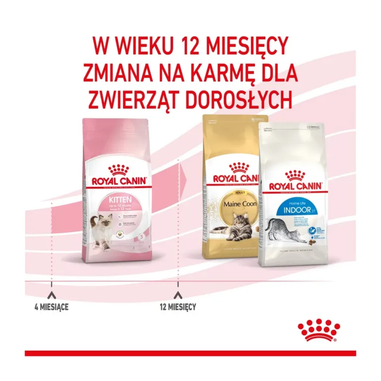Royal Canin kana kuivtoit kassipoegadele diagonaalvaates