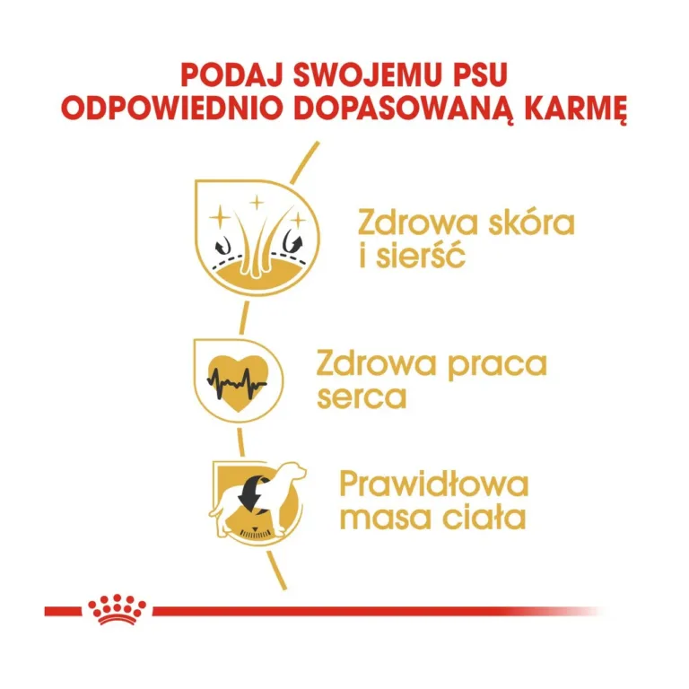 Royal Canin Golden Retriever kasulikkuse infograafika