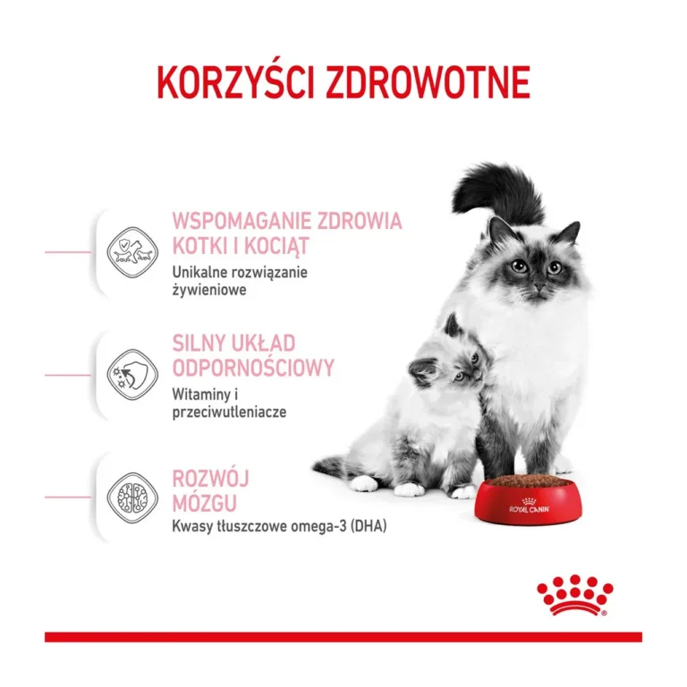 Tõukass ja kassipoeg Royal Canin infograafikus