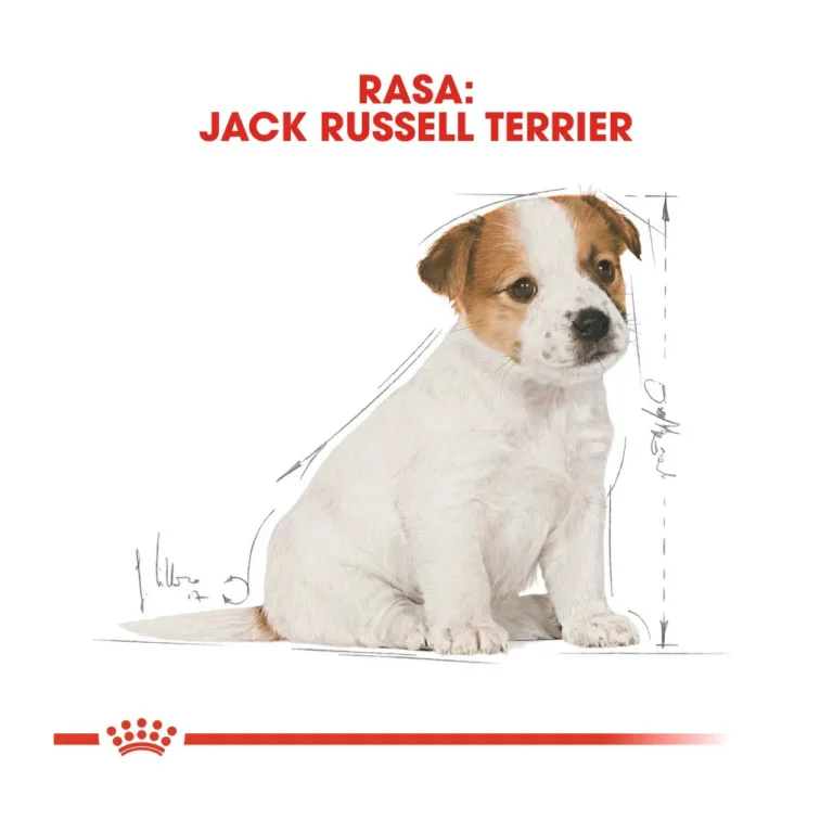 jack russell kutsika kuivtoit joonistatud kutsika pildiga