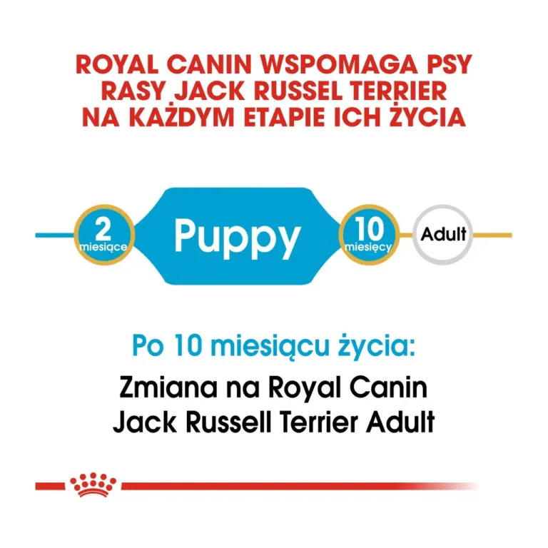 Royal Canin kutsika ja täiskasvanu eluetapi info