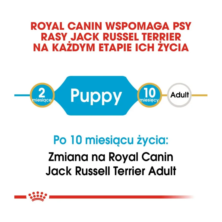 Royal Canin Jack Russell Terrier Junior 3 kg kuivtoit kanaga väikest tõugu kutsikatele - 9