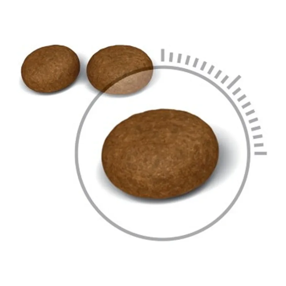 Royal Canin Hair & Skin Care Adult 400 g kuivtoit kana maitsega täiskasvanud kassile – 13