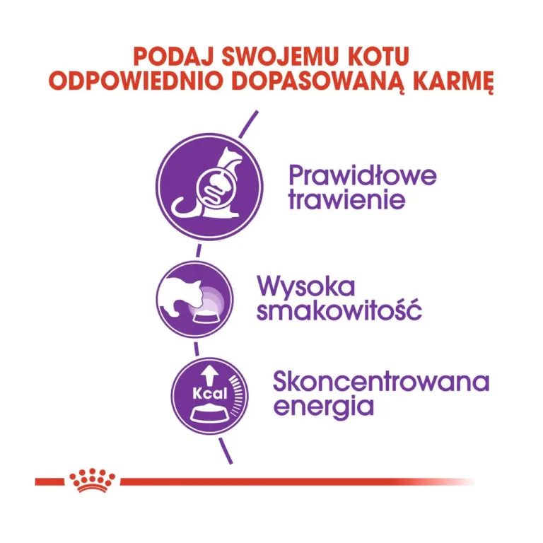 Royal Canin Sensible 33 kuivtoidu eelised graafikas