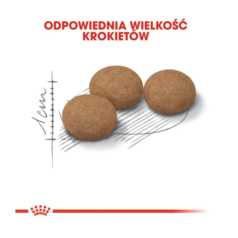 Royal Canin kassitoidu graanulite suurus vanemale steriliseeritud kassile