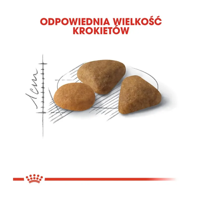 Royal Canin Savour Exigent kuiva krõbinad erikujulised detailvaates