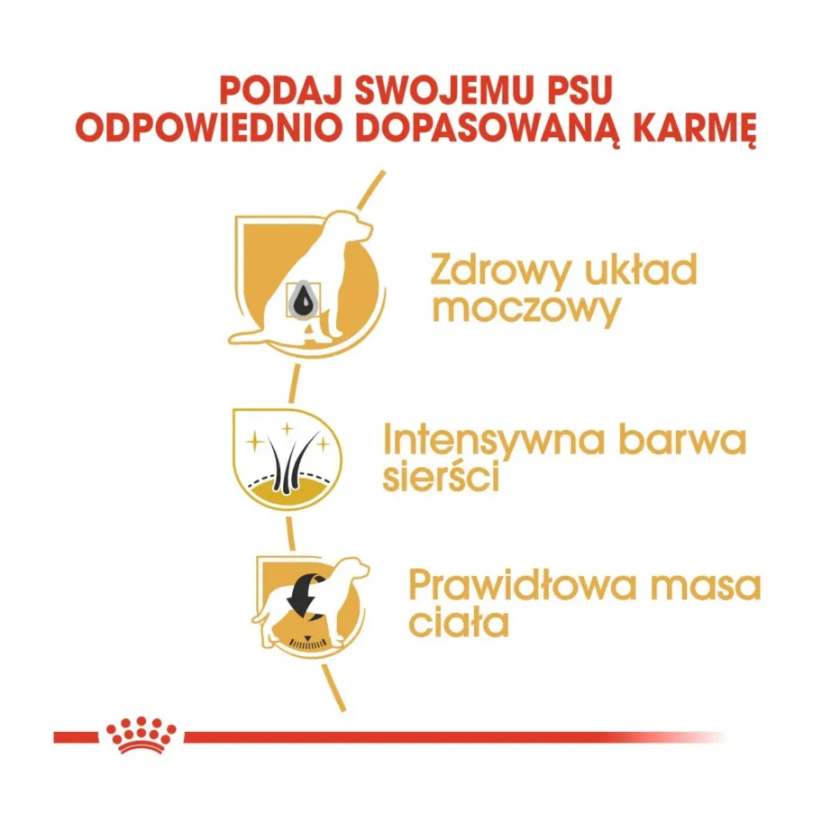 Royal Canin Miniature Schnauzer Adult 3 kg kanamaitseline kuivtoit täiskasvanud väikest tõugu koertele – 6