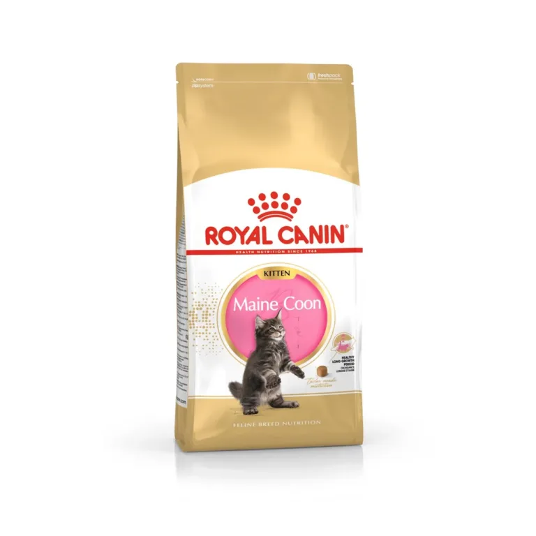 Royal Canin Maine Coon Junior 400g kuivtoidu pakk