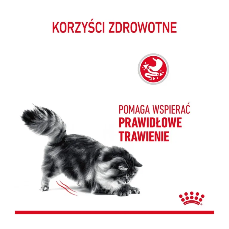 Royal Canin kass toetab seedimist, tervise-eesmärgid
