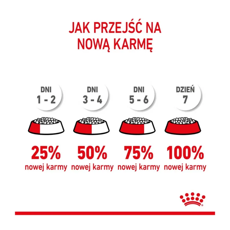 Royal Canin kassipoja kuivtoit 10 kg üleminekutoidu juhend