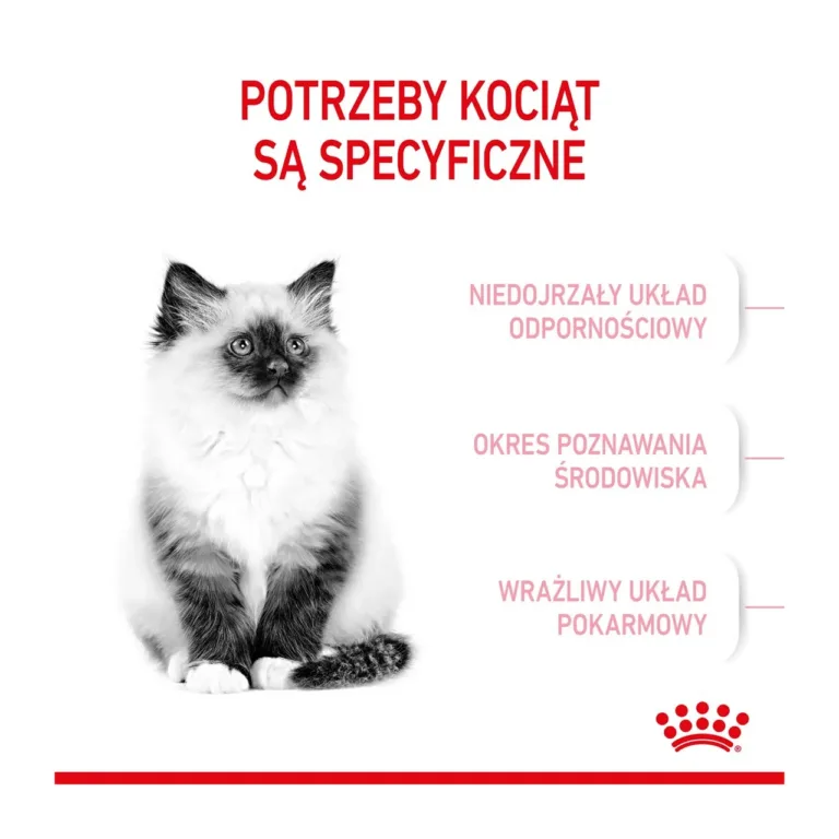 Kassipoeg ja Royal Canin vajaduspõhised aspektid