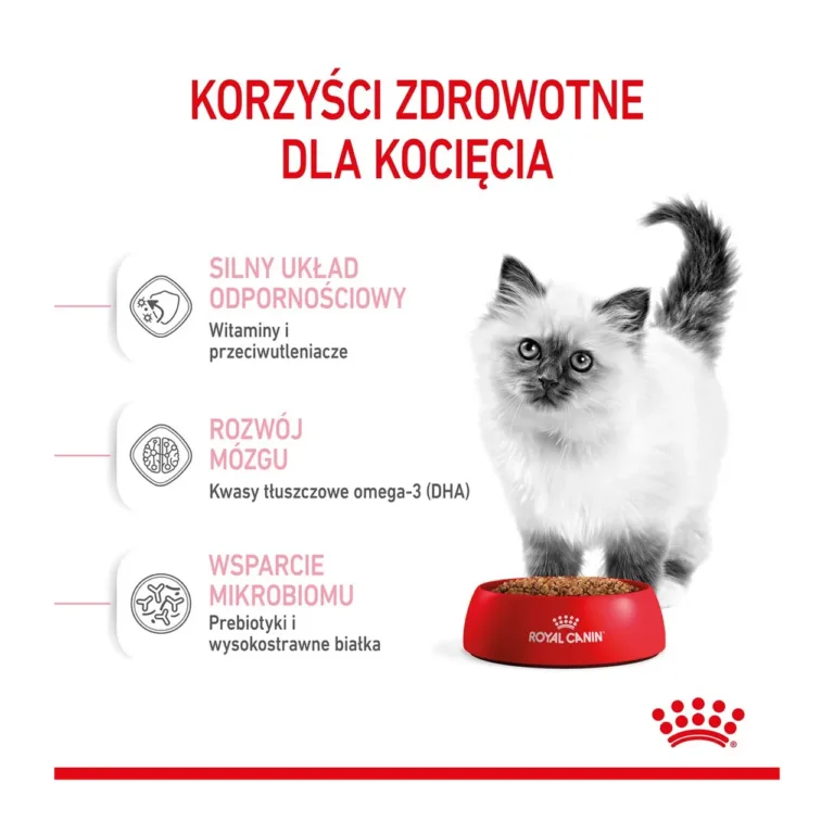 Royal Canin kassipoja kuivtoit kasulikud omadused