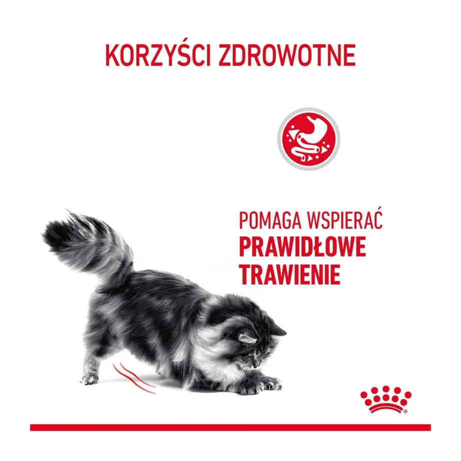 Royal Canin Feline Care Nutrition Digestive Care 10 kg täiskasvanud kasside kuivtoit seedimise toetuseks – 13