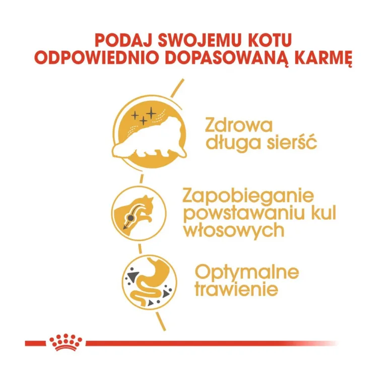 Persia kasside kana kuivtoit kasu ja koostisosad infograafik