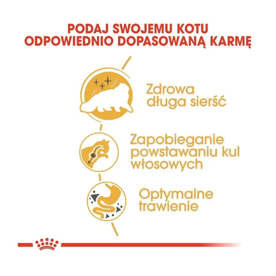 Royal Canin Persian Adult 4 kg kana kuivtoit täiskasvanud pärsia kassidele karva- ja nahahoolduseks – 3