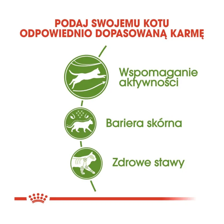 Royal Canin aktiivse kassi toiduomadused ikoonid