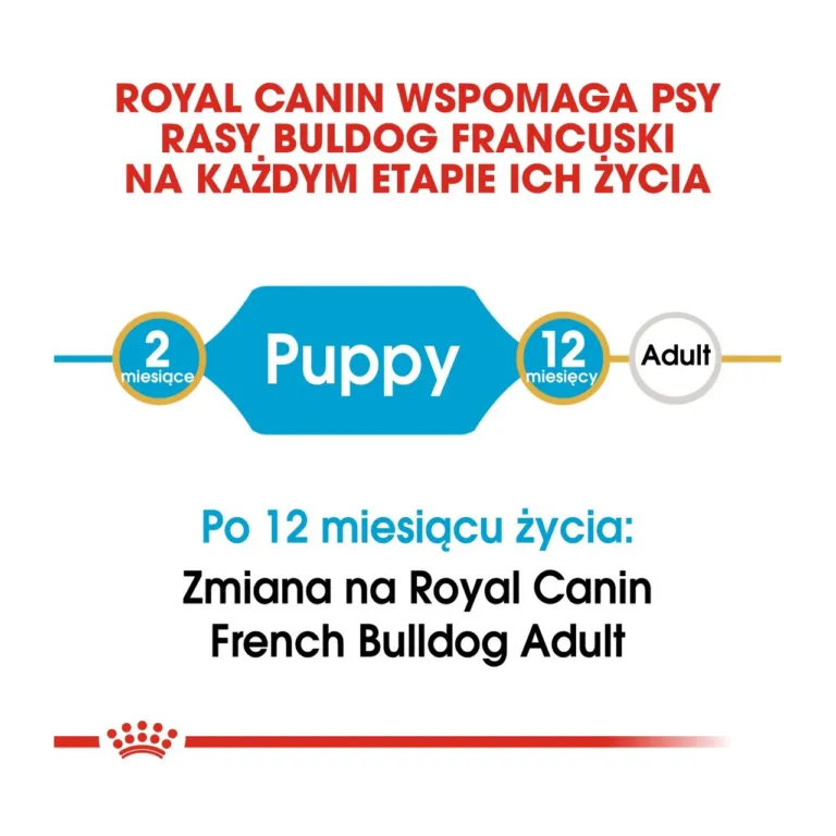 Royal Canin prantsuse buldogi kutsika kuivtoit kasvufaaside skeem