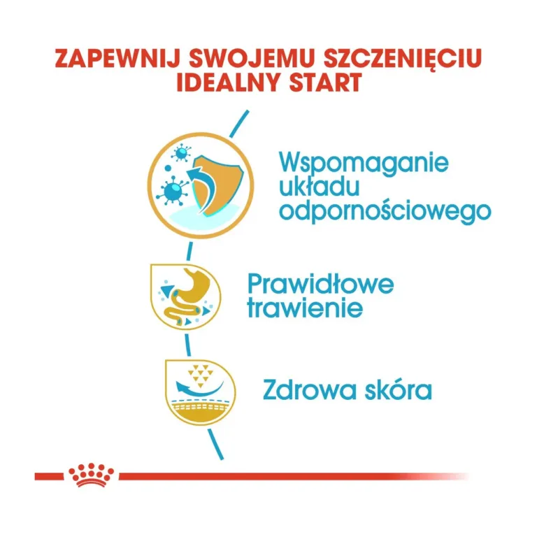 Royal Canin kutsikatoidu eelised – immuunsus, seedimine, nahk