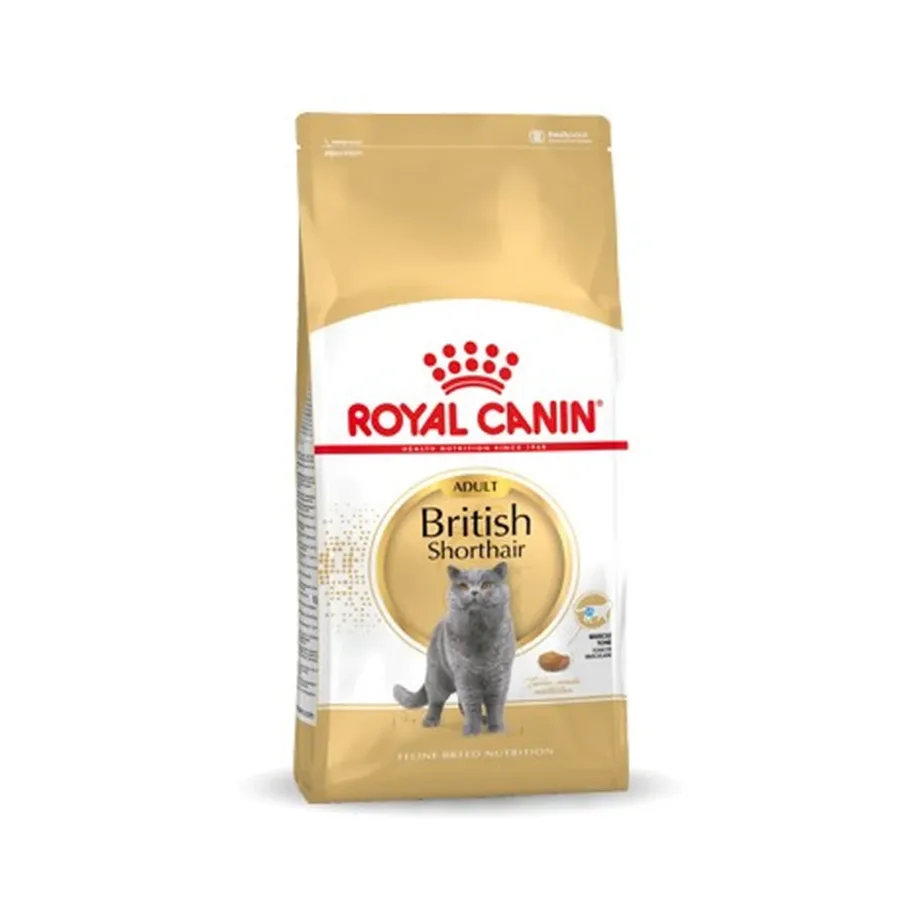 Royal Canin Feline Breed Nutrition British Shorthair Adult 4 kg kanaliha kuivtoit täiskasvanud Briti lühikarvalistele kassidele – 2