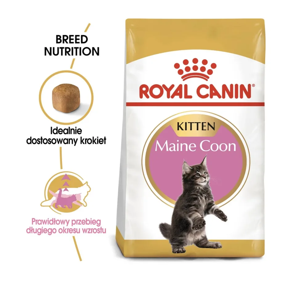 Royal Canin Maine Coon Kitten 4 kg kuivtoit kanaga kassipoegadele, tõule kasvuperioodiks – 10