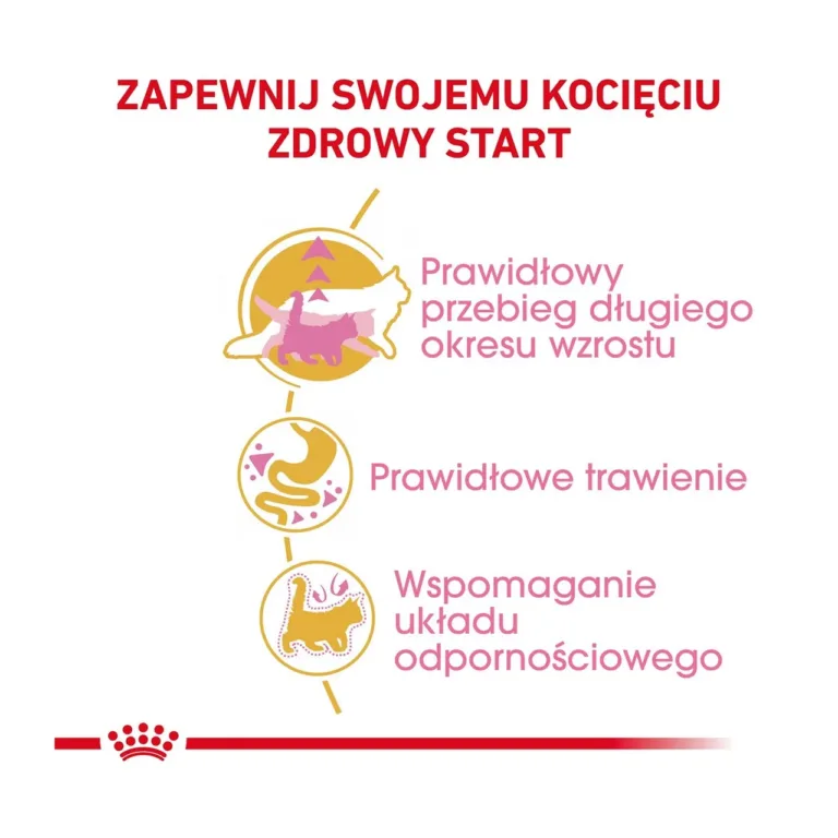 Royal Canin kassipoegade kasv, seedimine ja immuunsus