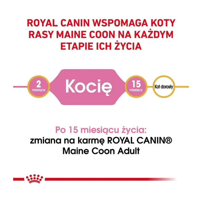 Maine coon kassipoegade eluetappide graafik kuivtoidu pakil