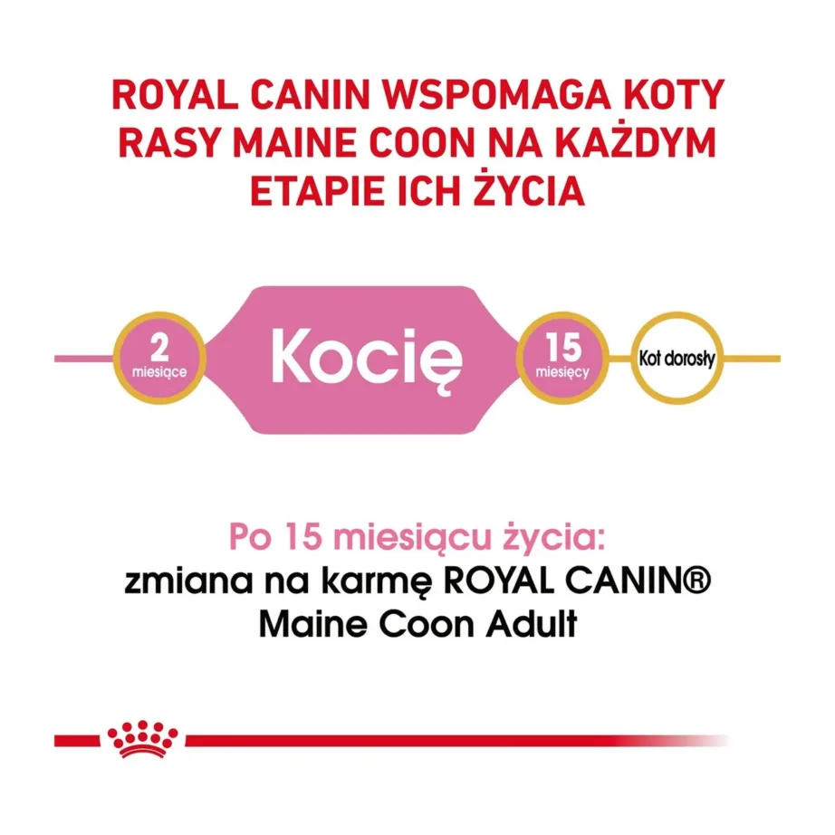 Royal Canin Maine Coon Kitten 4 kg kuivtoit kanaga kassipoegadele, tõule kasvuperioodiks – 6