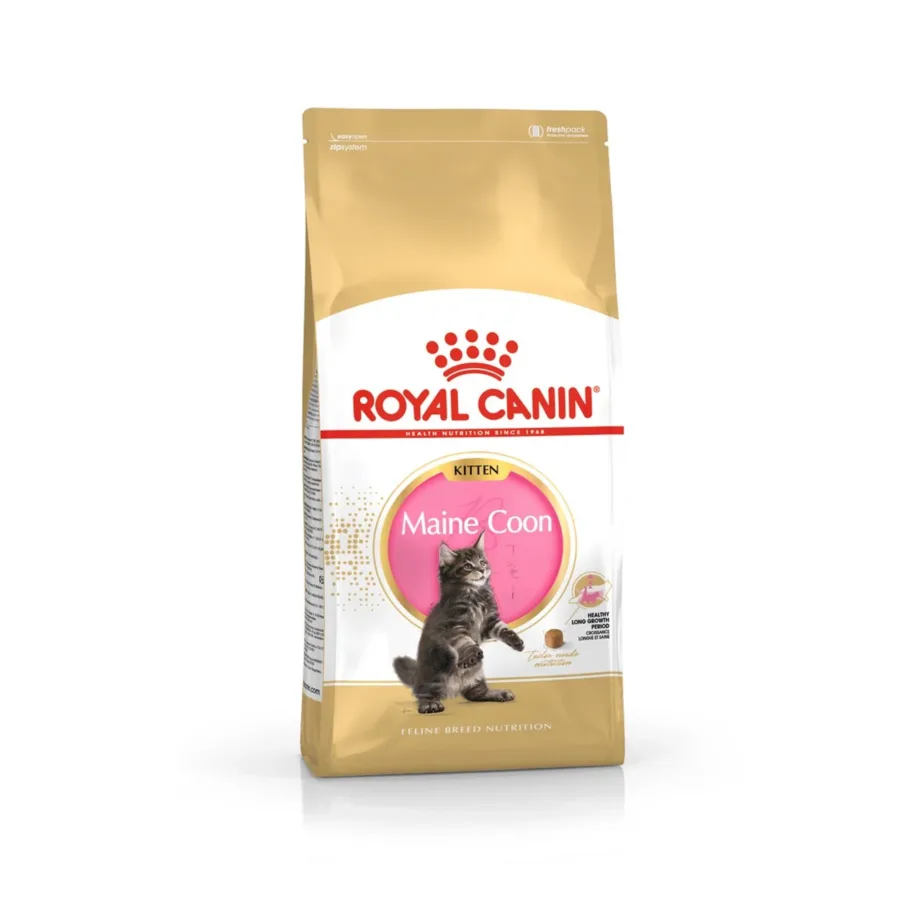 Royal Canin Maine Coon Kitten 4 kg kuivtoit kanaga kassipoegadele, tõule kasvuperioodiks