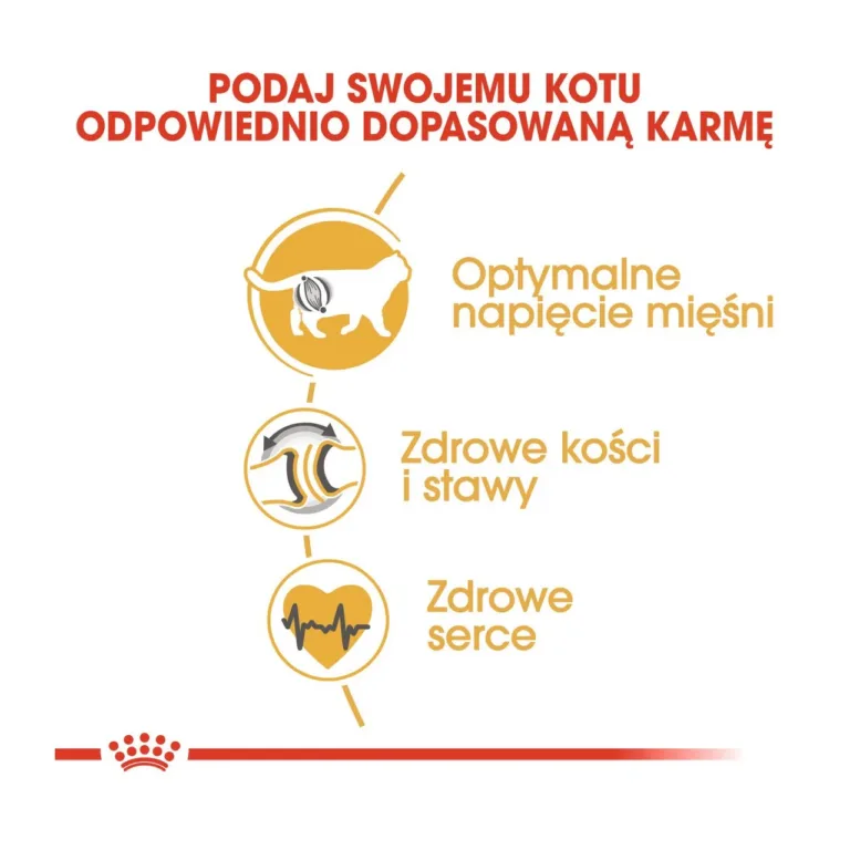 Royal Canin kassitoidu toime: lihaste, luude ja südame tugi