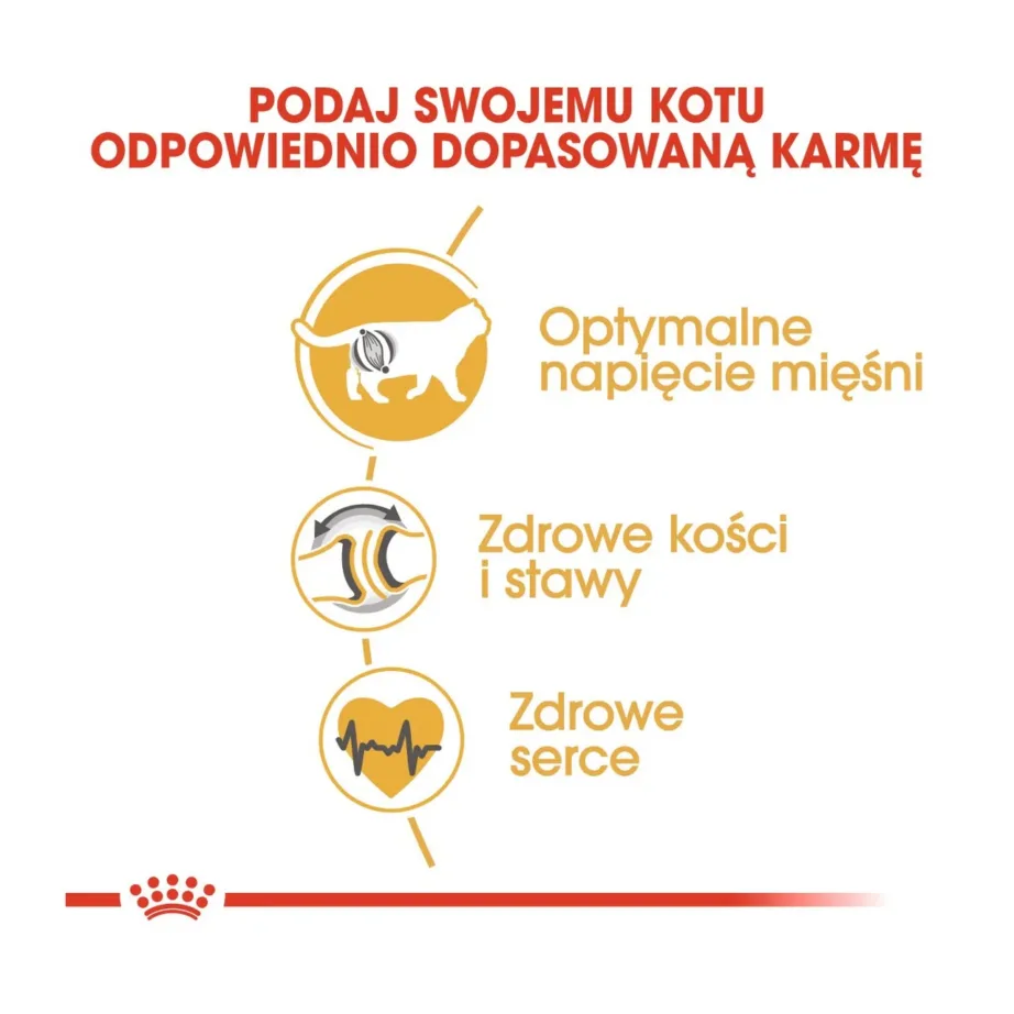 Royal Canin British Shorthair Adult 2 kg kanamaitseline täissööt tõukassile – 5