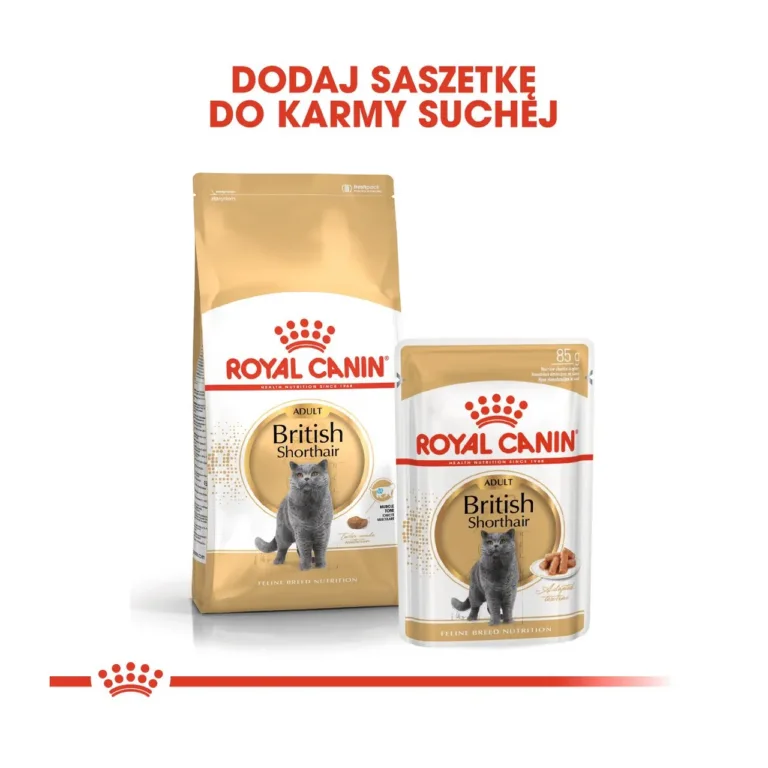 Royal Canin British Shorthair kuiv- ja märgtoit