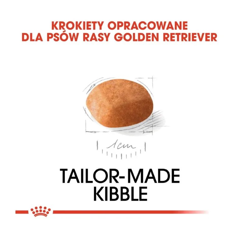 golden retriever kutsika kuivtoit kohandatud graanul