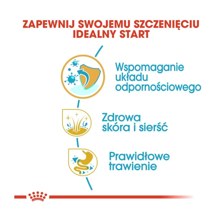 Royal Canin kutsikatoidu eelised, tervise tugevdamine