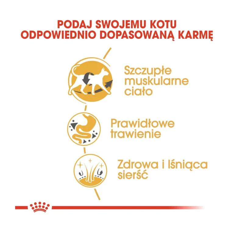 Royal Canin Siamese Adult kuivtoidu eelised ikoonidega