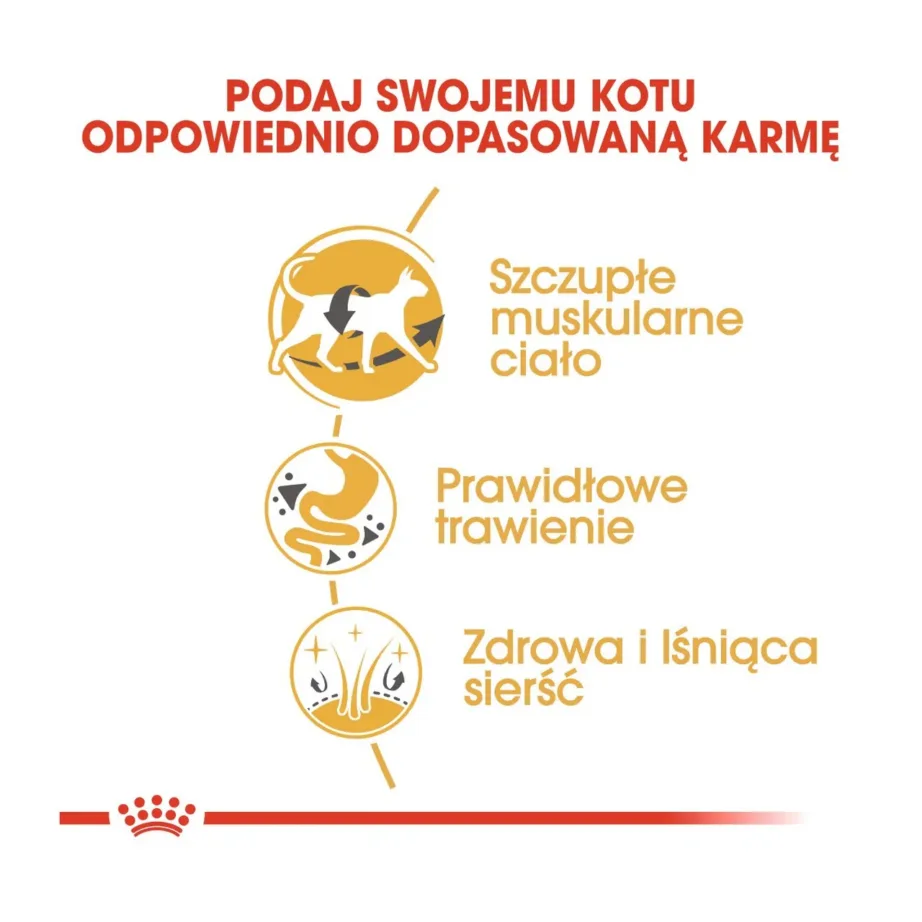 Royal Canin Feline Breed Nutrition Siamese Adult 2 kg kana kuivtoit siiami kassile – 5