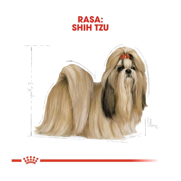 Shih tzu koera illustratsioon Royal Canin bränd