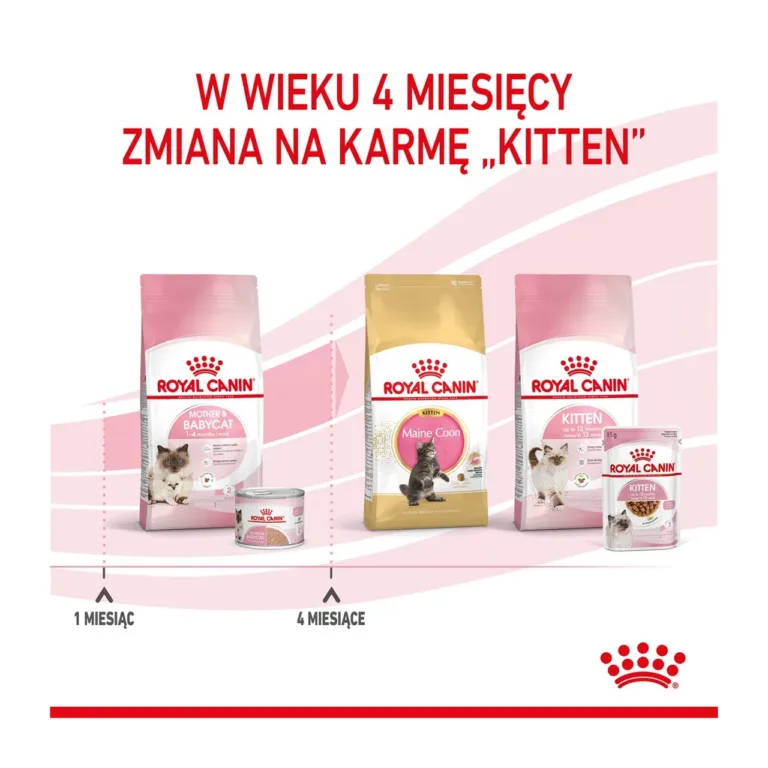 Royal Canin kassipoegade märgtoit linnulihaga sari
