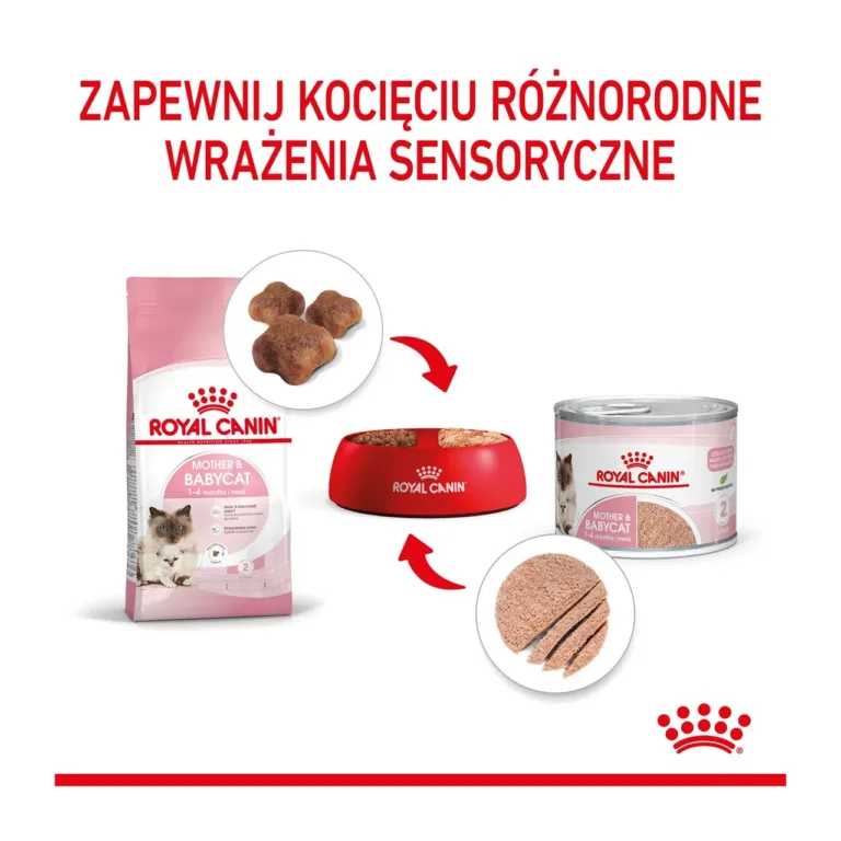 Royal Canin kuiv- ja märgtoidu koos kasutamise infograafik