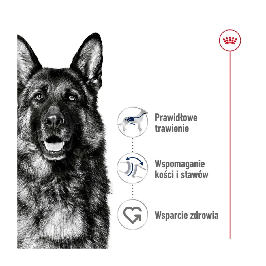 Royal Canin Maxi Adult 15 kg kuivtoit suurtele täiskasvanud koertele, kanaliha, seedimise ja üldise tervise toetuseks – 3