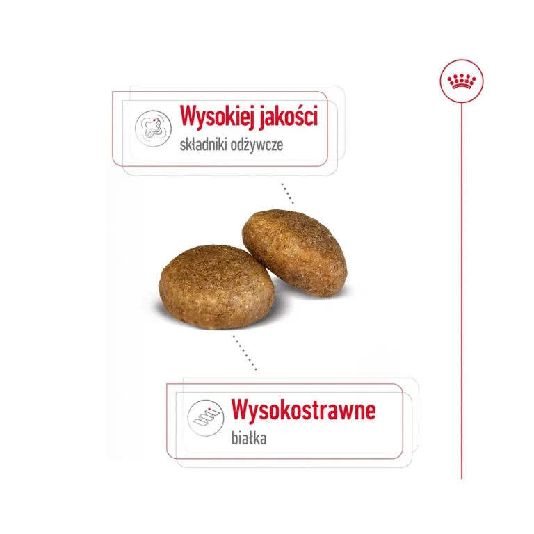 Royal Canin Maxi kõrge kvaliteediga krõbinad