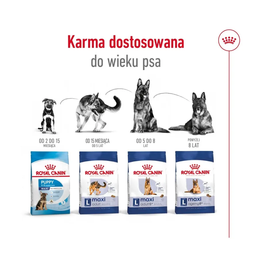Royal Canin Maxi Adult 15 kg kuivtoit suurtele täiskasvanud koertele, kanaliha, seedimise ja üldise tervise toetuseks – 9