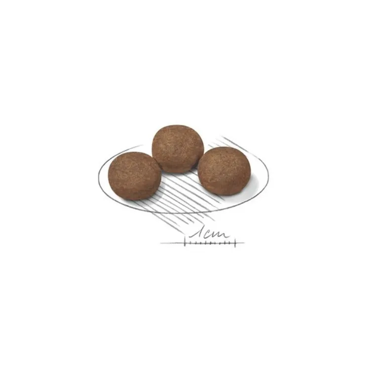 Royal Canin Medium Puppy kuivtoidu krokettide makrovaade