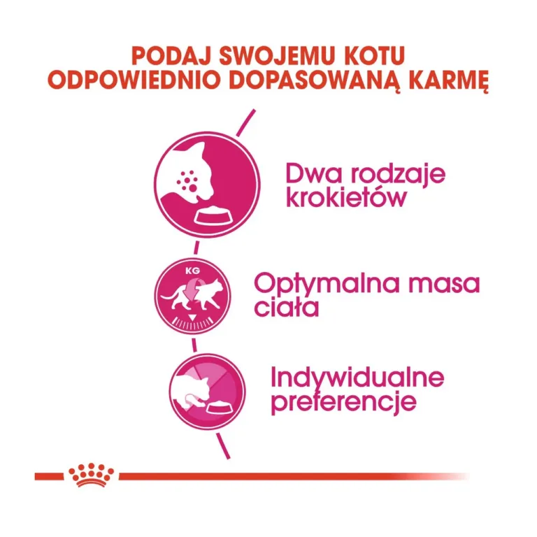 Royal Canin kuivtoit kassile peamised omadused infograafik