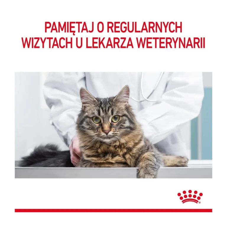 Kass loomaarsti juures Royal Canin logo