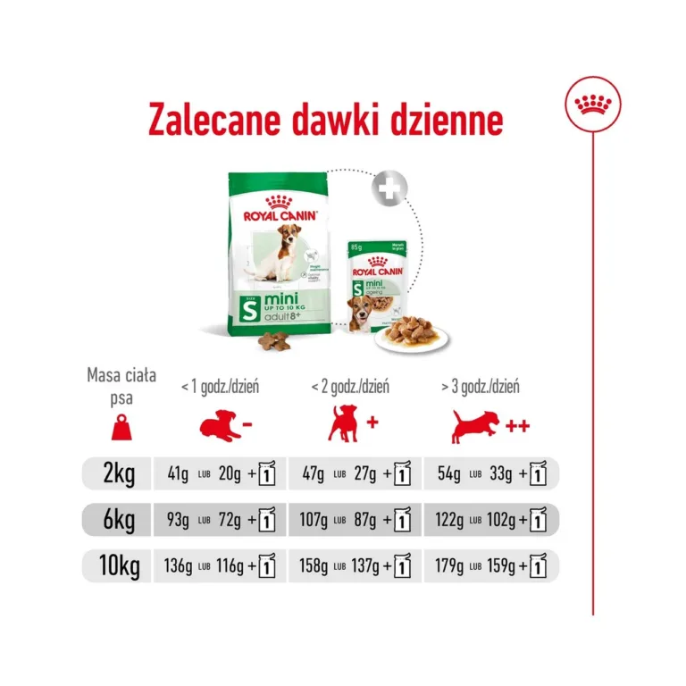Royal Canin Mini Adult 8+ kuivtoit väikestele seenior koertele päevane annus