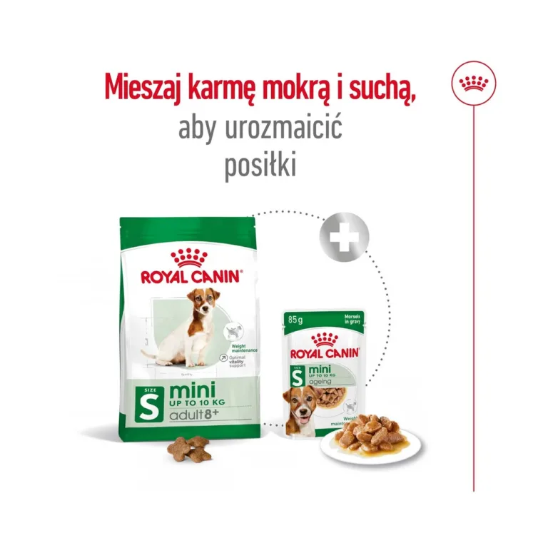 Royal Canin Mini Adult 8+ segatoit väikestele võrdluses märgtoiduga
