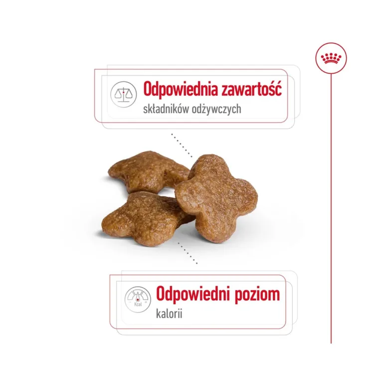 Royal Canin Mini Adult 8+ toitainetega graanulid