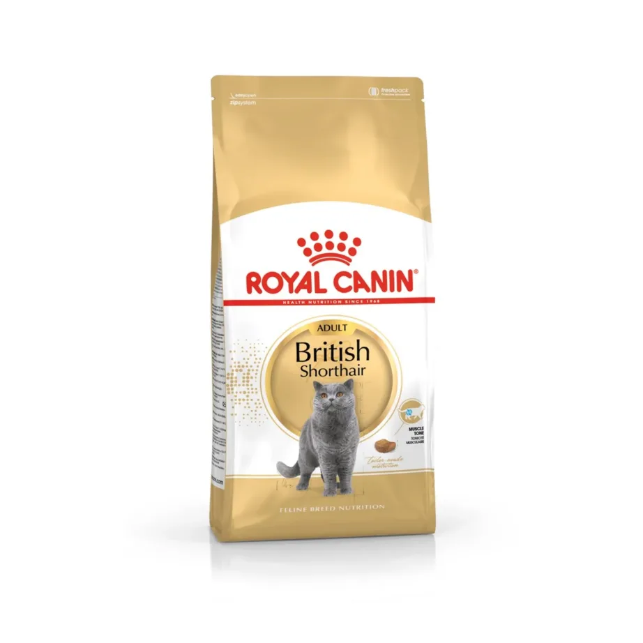 Royal Canin Feline Breed Nutrition British Shorthair Adult 10 kg kuivtoit kanaga täiskasvanud briti lühikarvalistele kassidele