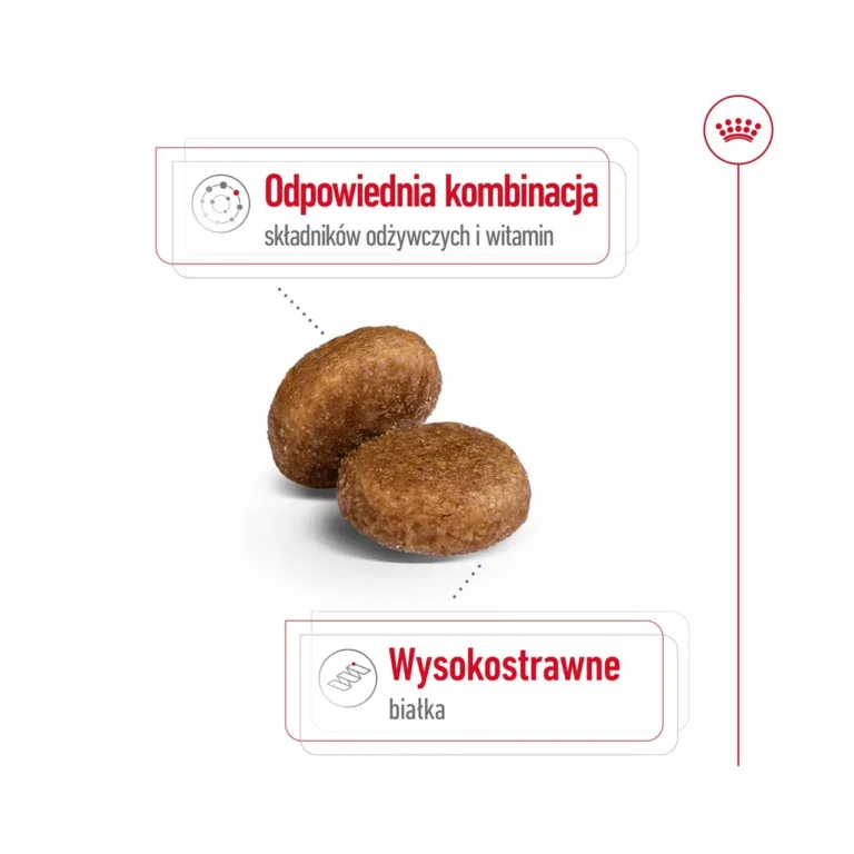 Royal Canin Maxi Adult 5+ krõbinad ja toitainete kombinatsioon
